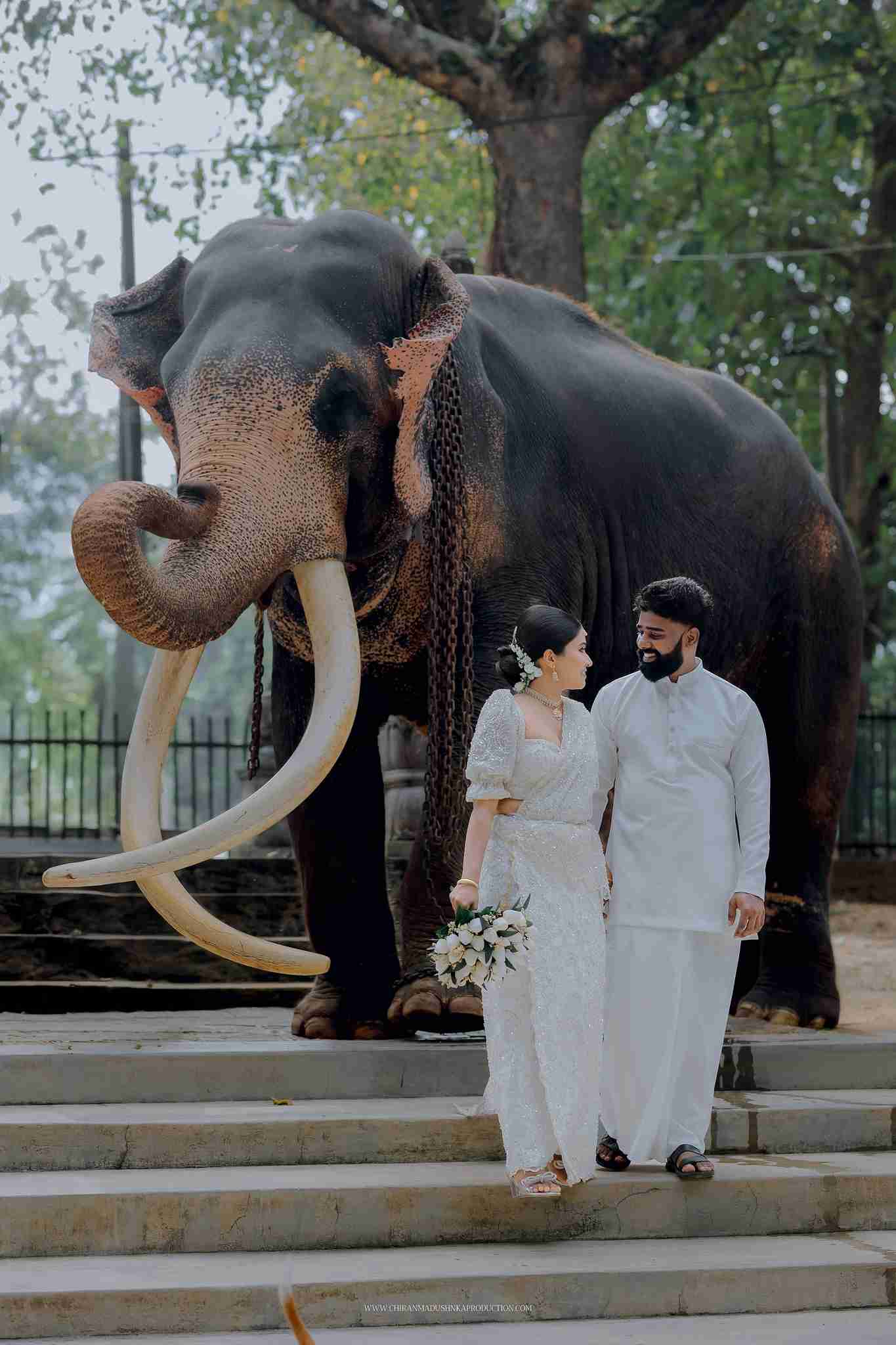 CHATHURA & LIHINI 🍂🤍