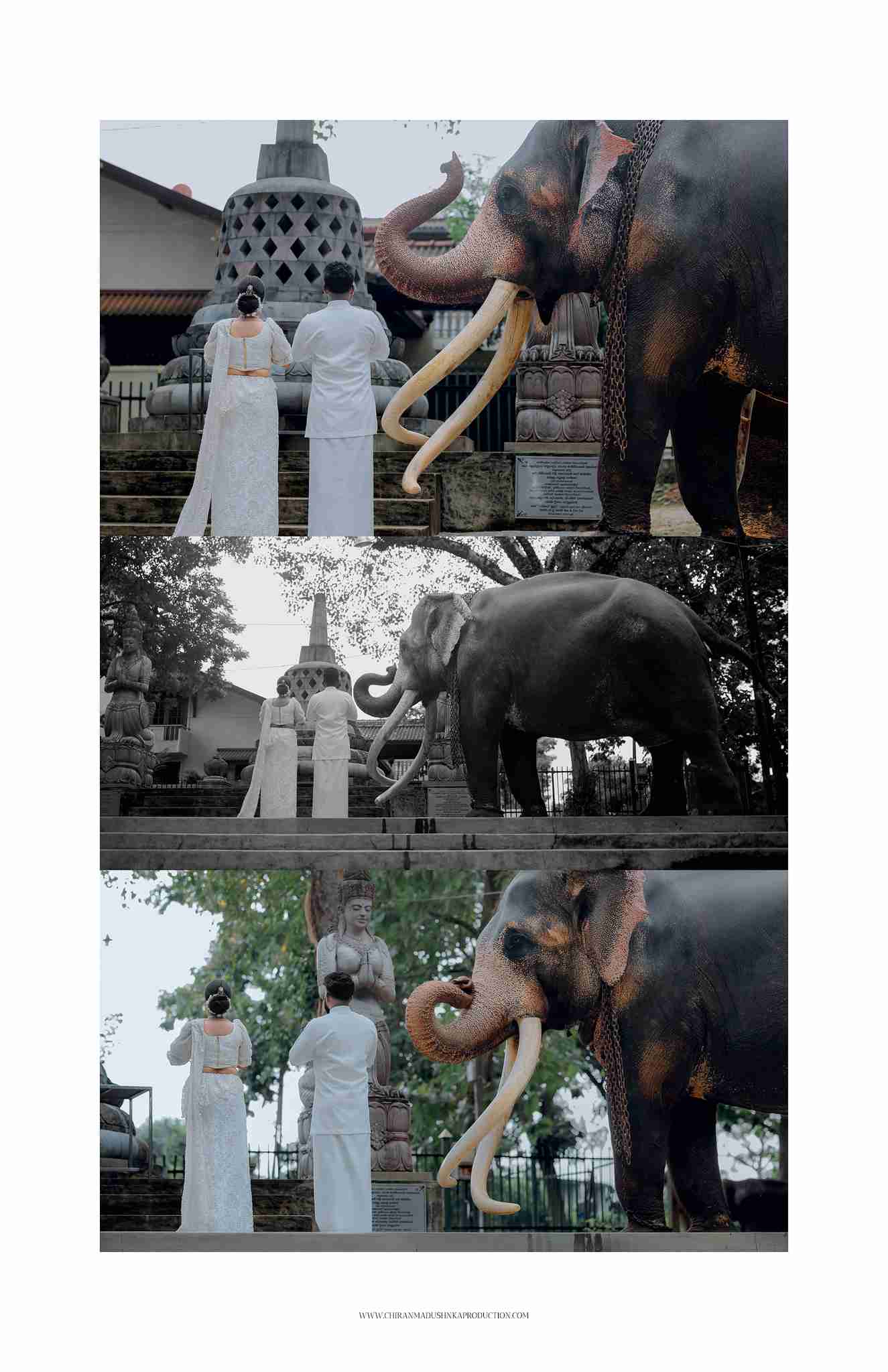 CHATHURA & LIHINI 🍂🤍
