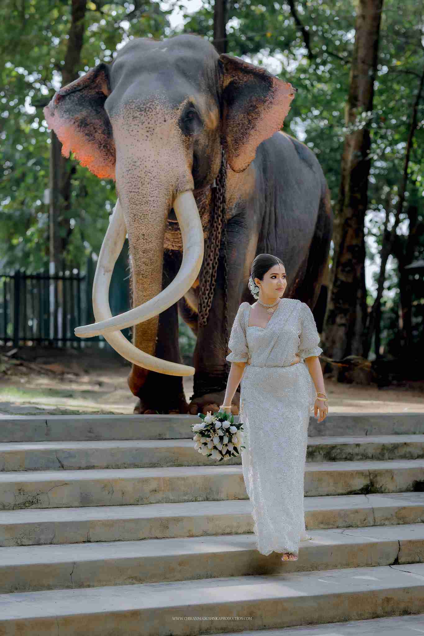 CHATHURA & LIHINI 🍂🤍